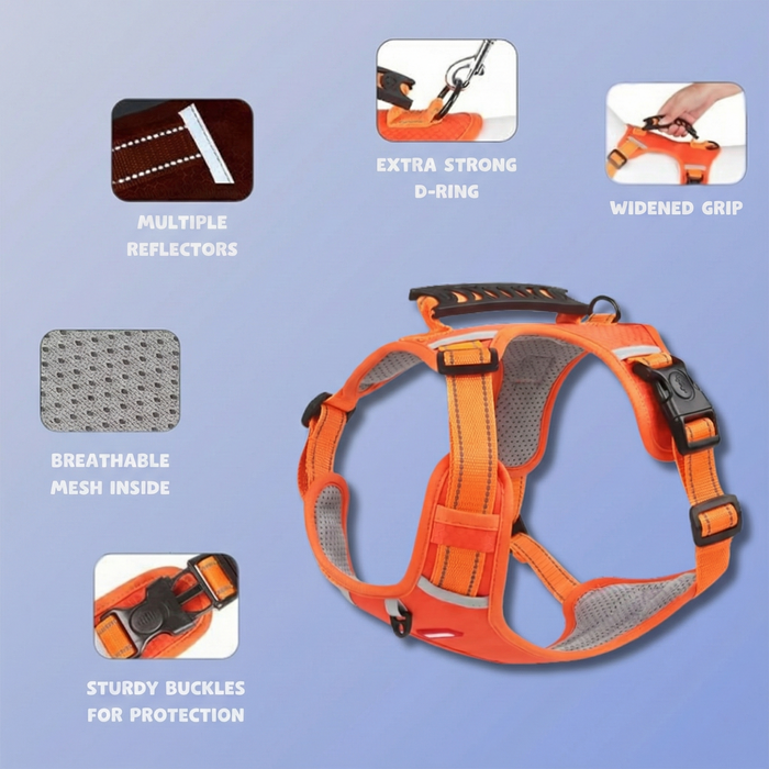 SafeGuard™ – For comfortable and safe walks without pulling!