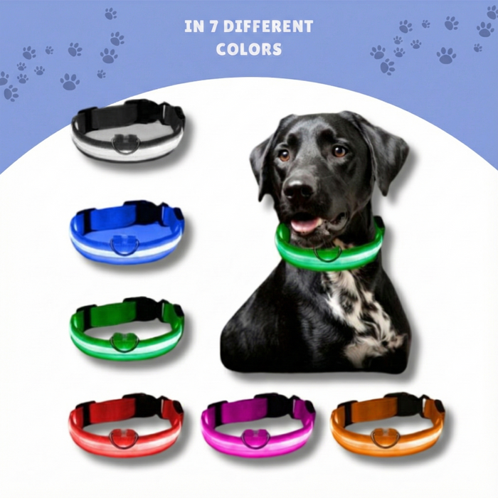GlowGuard™ LED Collar – Make your dog or cat stand out anytime, anywhere!