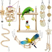 PlayGround™ - Experience optimal happiness for your bird