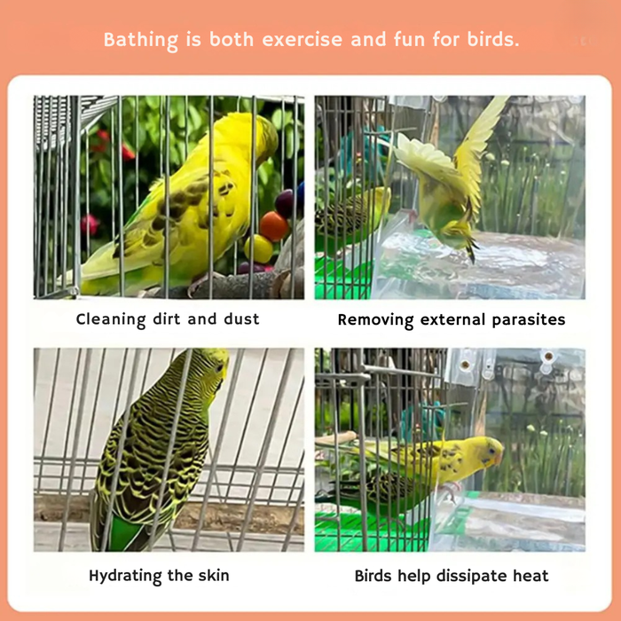 Bathy™ - The hanging bird bath