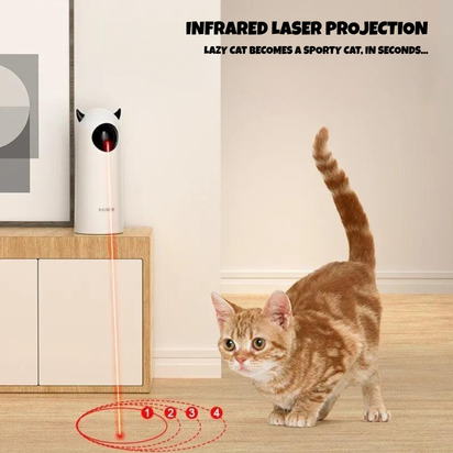 Rojeco™ - Occupational therapy for your cat!