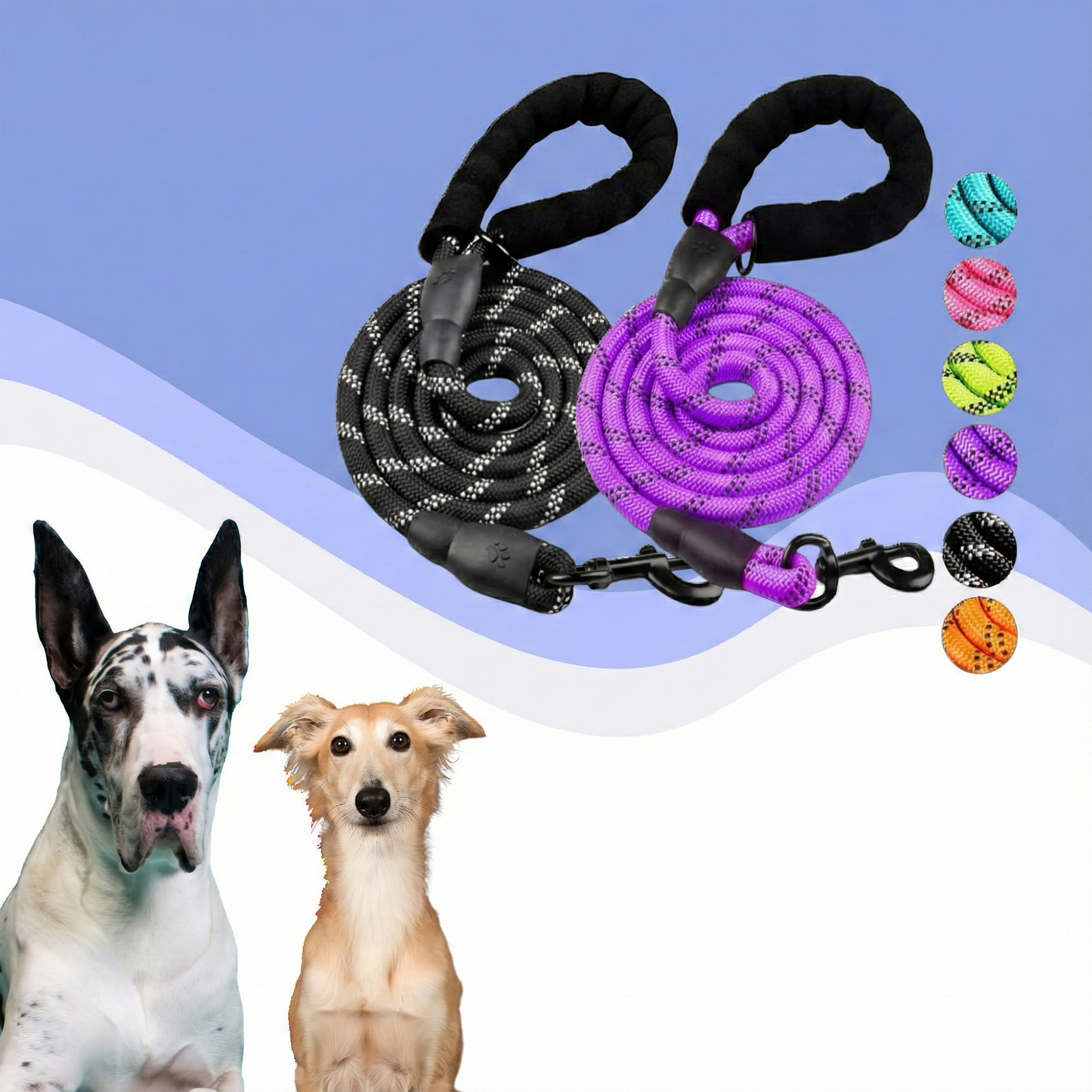 WalkBuddy™ - The ultimate belt for daily walks