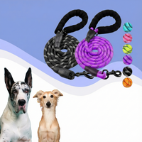 WalkBuddy™ - The ultimate belt for daily walks