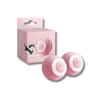 ZoomiBall™ – The smart toy that helps combat boredom