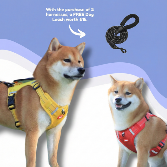SafeGuard™ – For comfortable and safe walks without pulling!