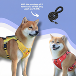 SafeGuard™ – For comfortable and safe walks without pulling!