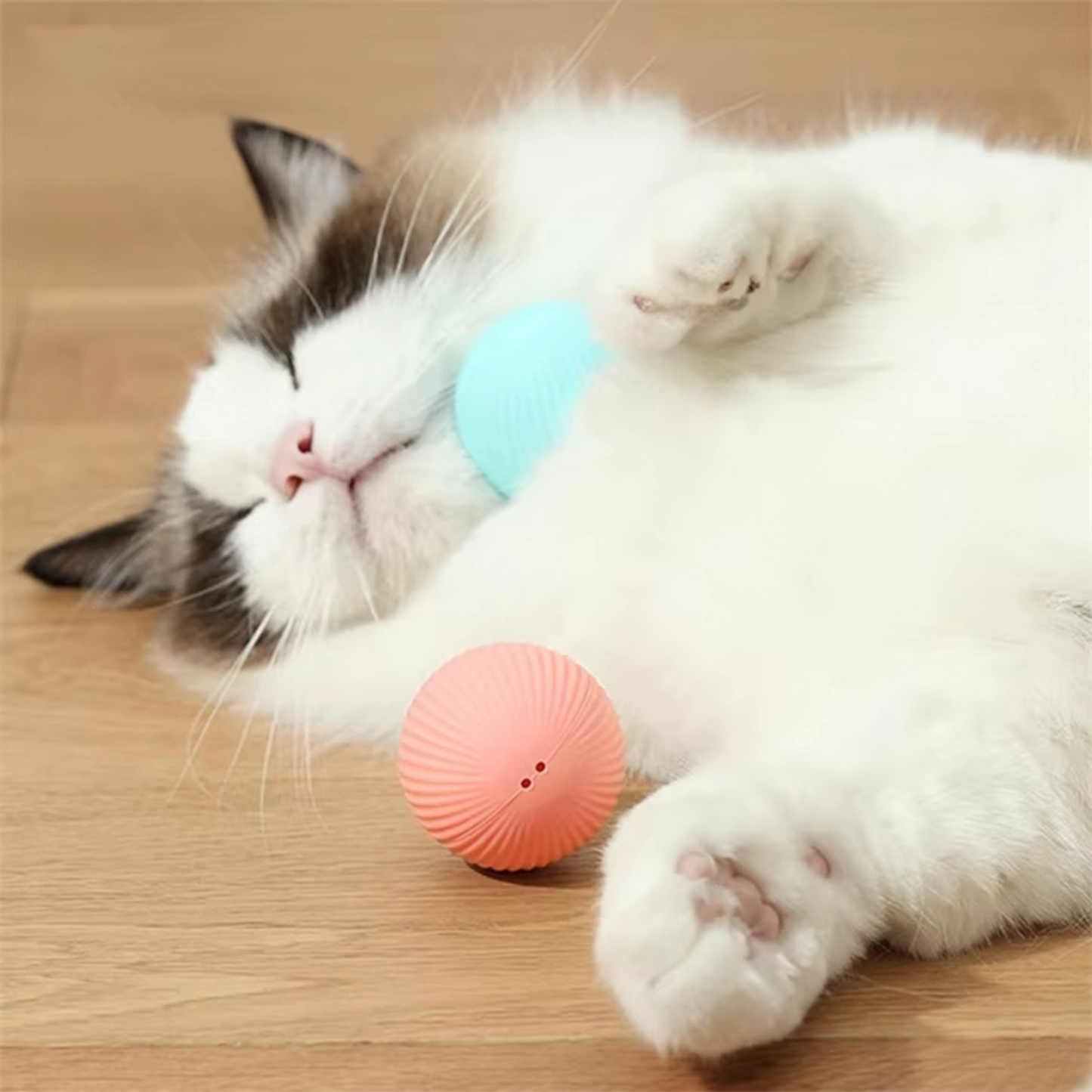 ZoomiBall™ – The smart toy that helps combat boredom