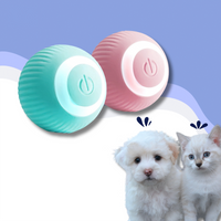 ZoomiBall™ – The smart toy that helps combat boredom