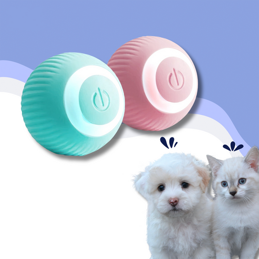 ZoomiBall™ – The smart toy that helps combat boredom