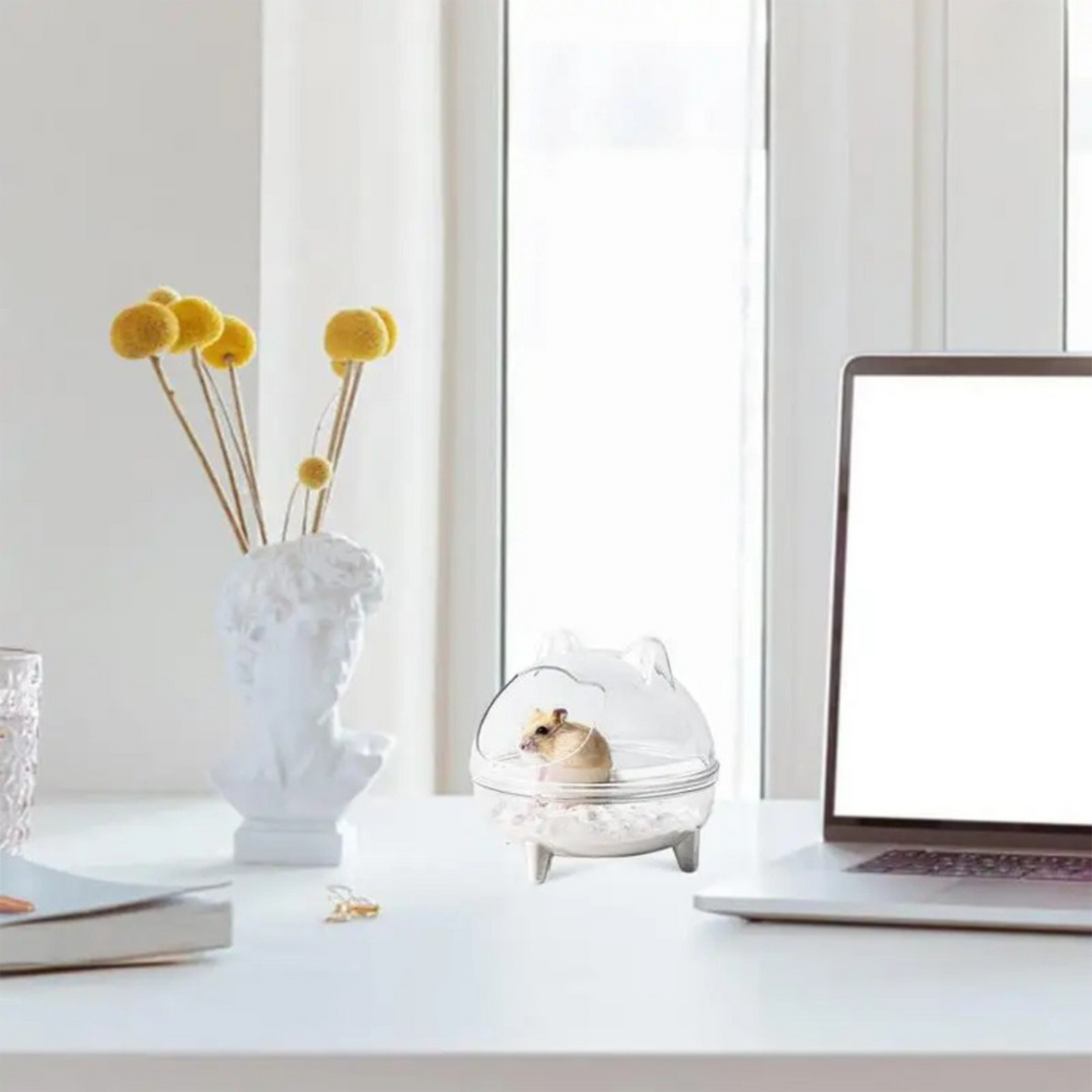 MiniDome™ - Hygienic, tidy and leak-proof sand baths for your hamster