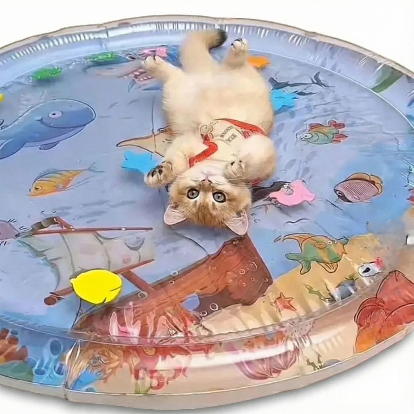 AquaPlay™ - Hours of fun for your four-legged friend