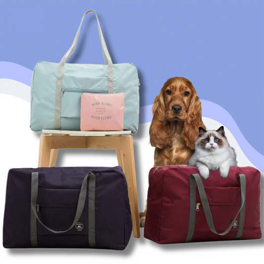 PawPal™ – The Ultimate Travel Companion for Your Pet & Belongings!