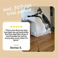 Tinkle™ - Hours of fun for your beloved cat and you