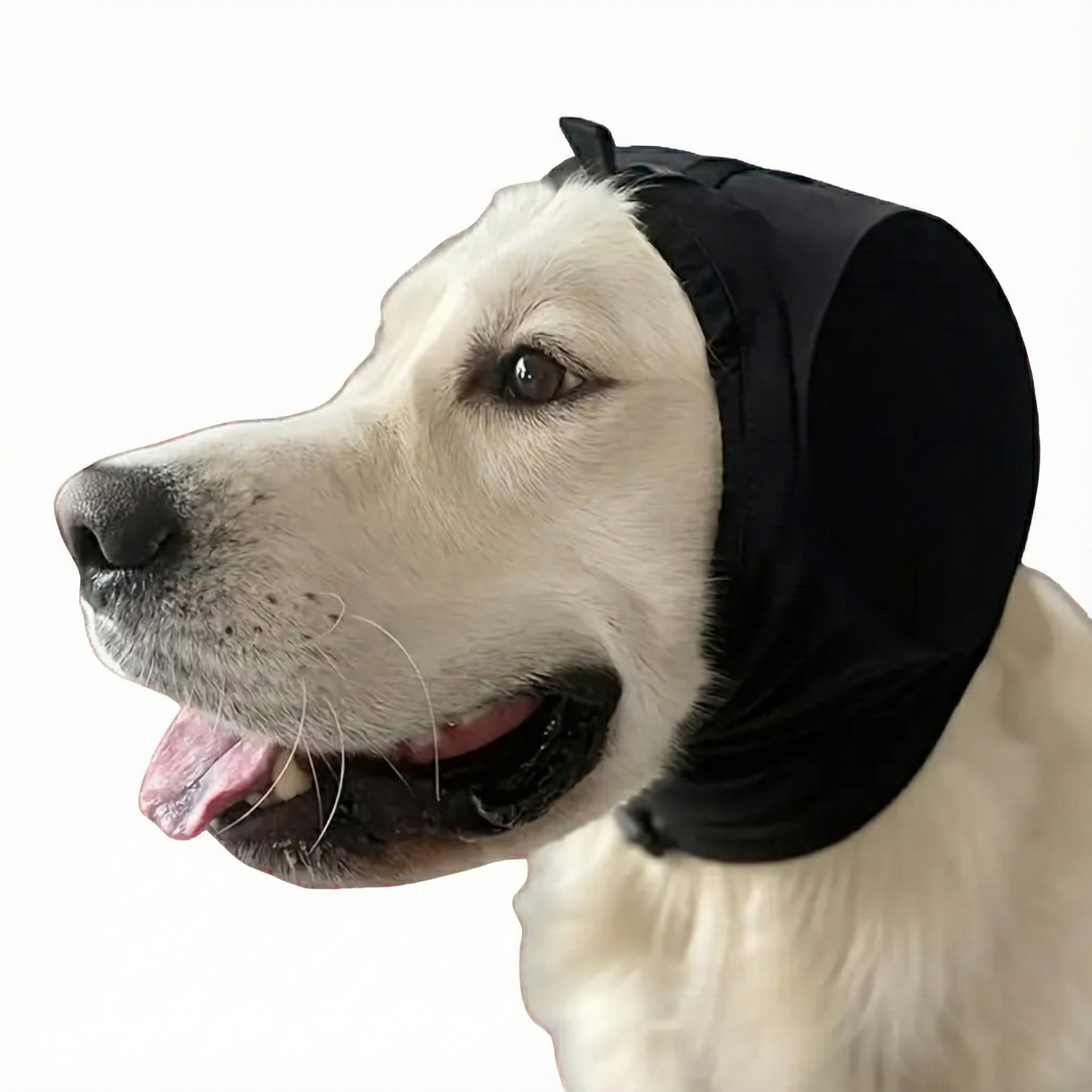 CalmEars™ - Provide your dog with immediate rest and protection