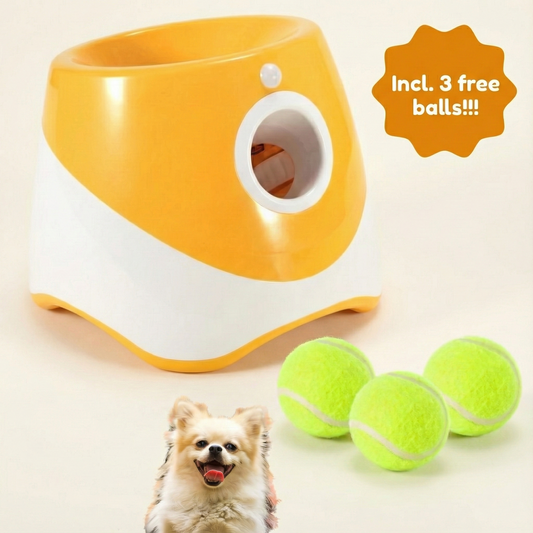 Catchy™ - Let your dog run endlessly while you relax