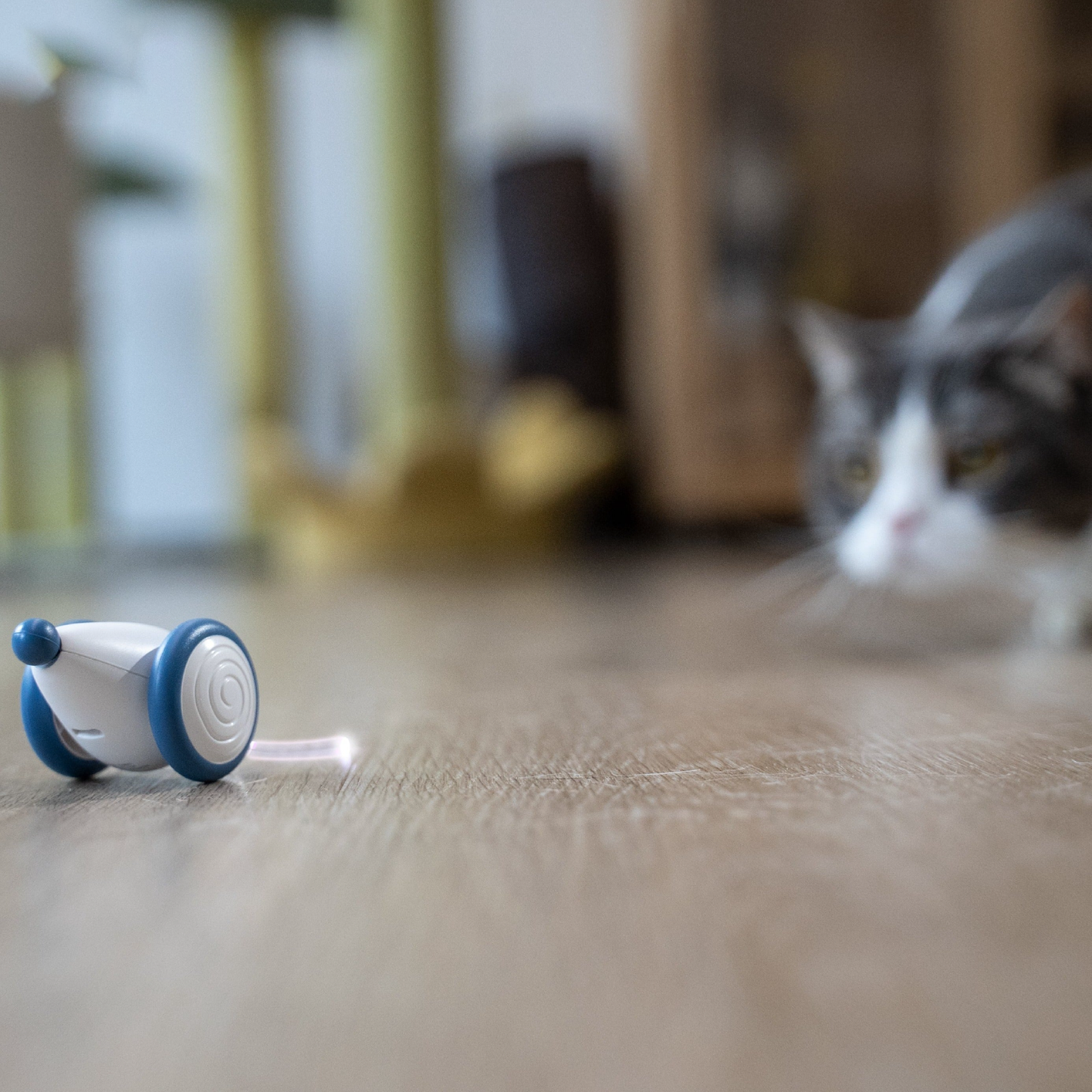 PlayMate™ - Let your cat hunt, play and purr