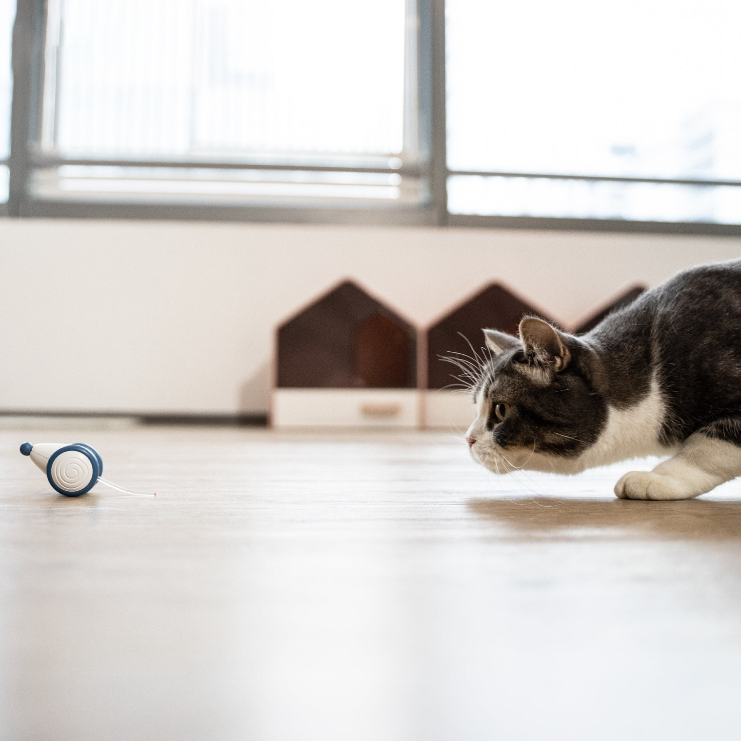 PlayMate™ - Let your cat hunt, play and purr