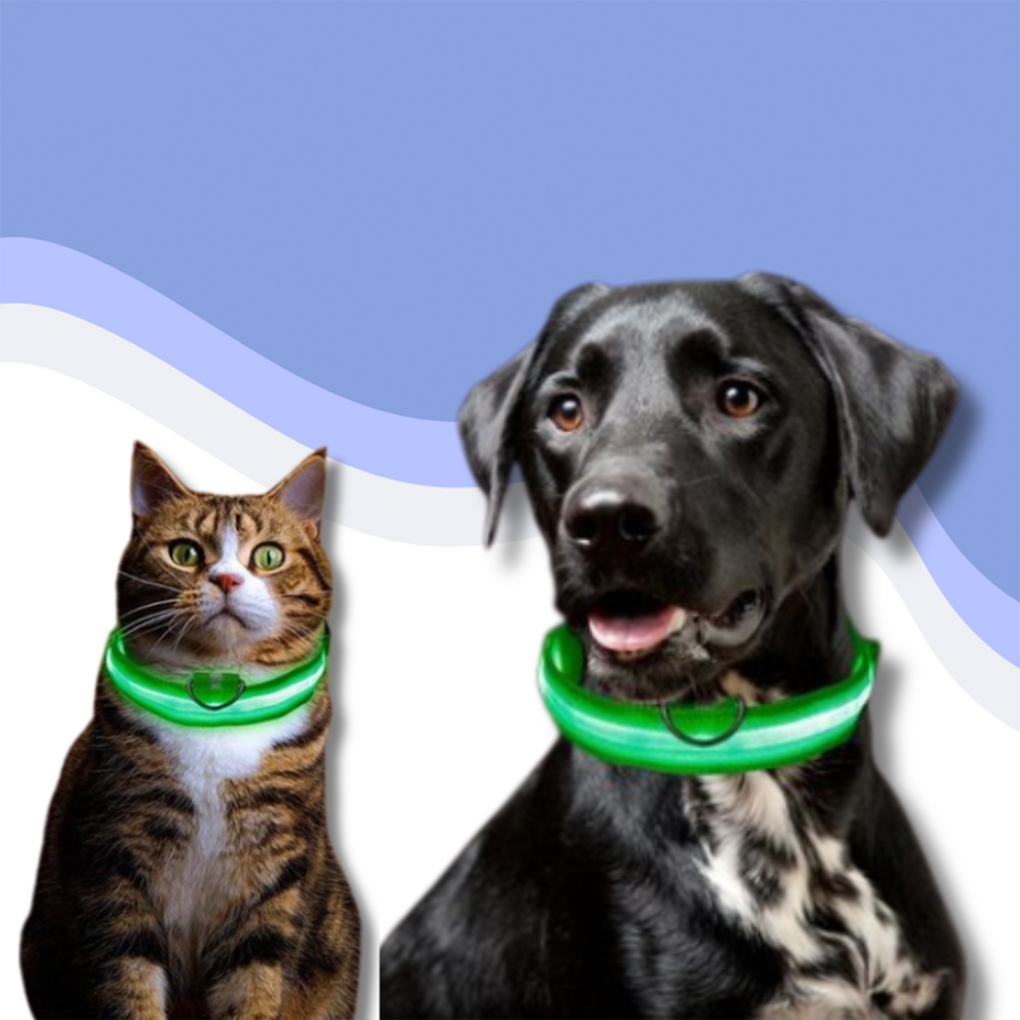 GlowGuard™ LED Collar – Make your dog or cat stand out anytime, anywhere!