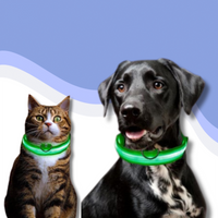 GlowGuard™ LED Collar – Make your dog or cat stand out anytime, anywhere!