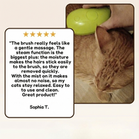 Groomzy™ - Effortless and stress-free brushing