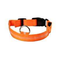 GlowGuard™ LED Collar – Make your dog or cat stand out anytime, anywhere!