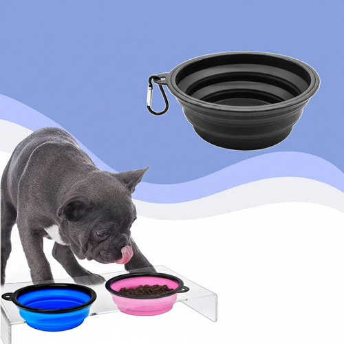 Drinny™ - Always a bowl of water for on the go