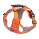 SafeGuard™ – For comfortable and safe walks without pulling!