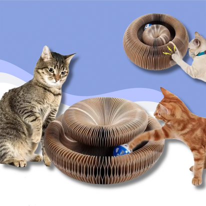Scratch & Play™ - The Toy That Challenges Your Cat and Saves Your Furniture!