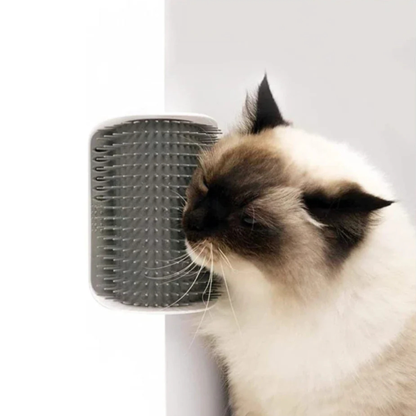 Scratchy™ - The ideal brush for busy cat owners