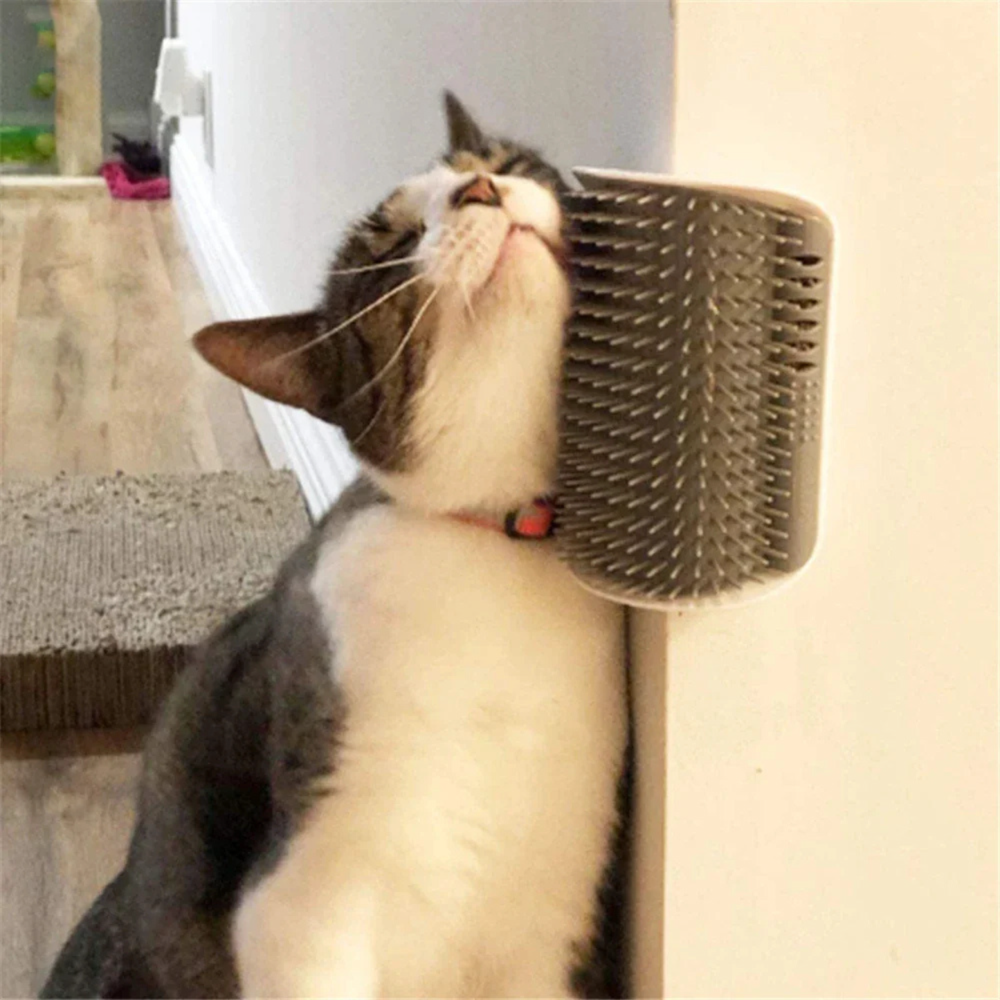 Scratchy™ - The ideal brush for busy cat owners