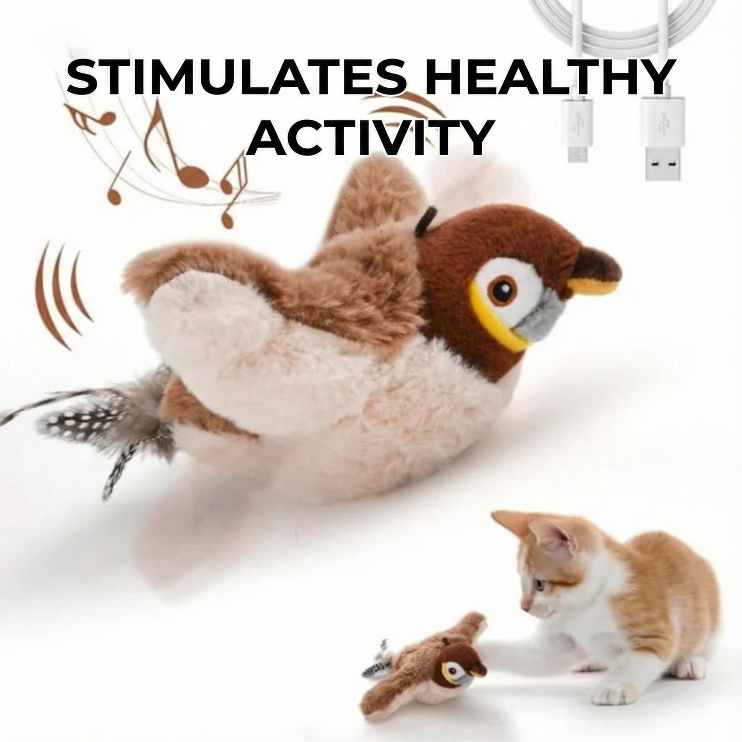 Birdy™ - The active exercise your cat needs!