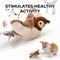 Birdy™ - The active exercise your cat needs!