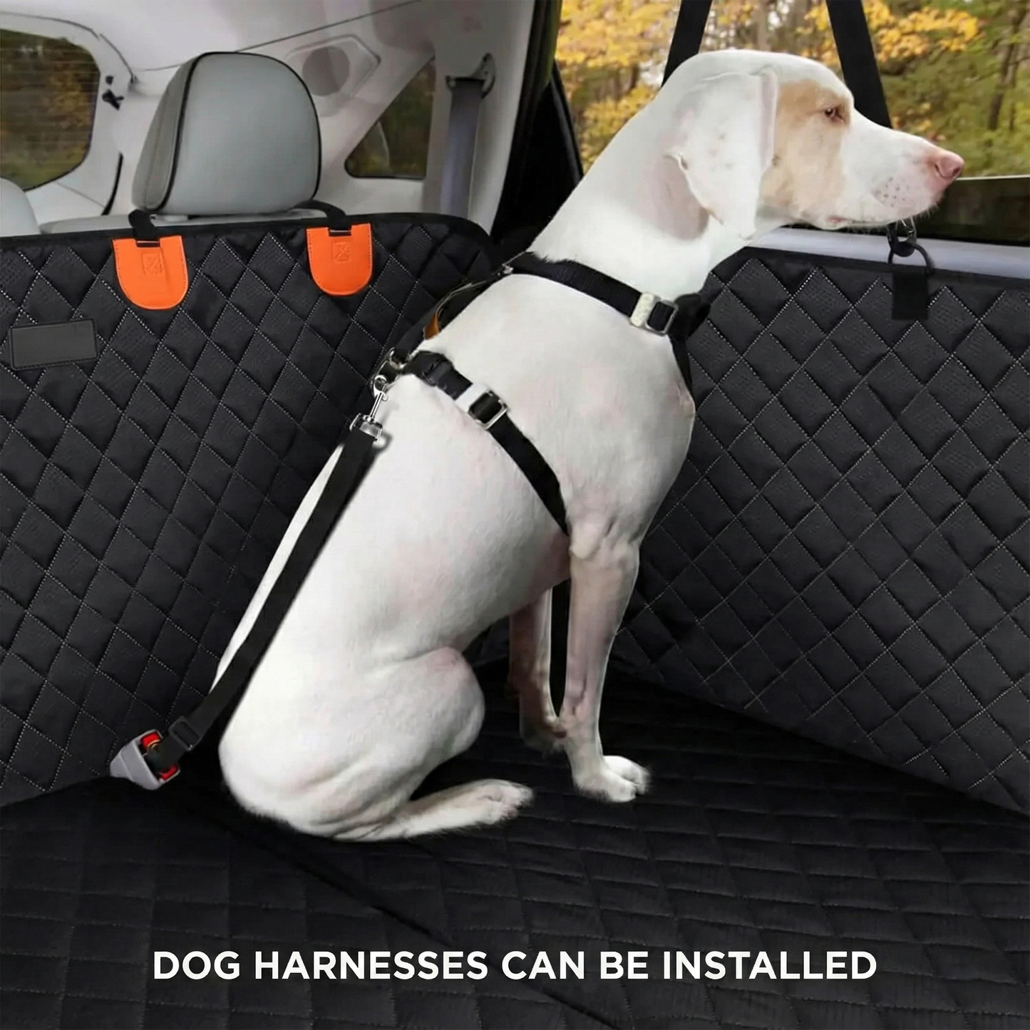 Paws & Go™ - Give your dog its own safe place during road trips