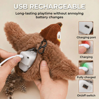 Birdy™ - The active exercise your cat needs!