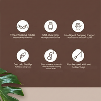 Birdy™ - The active exercise your cat needs!