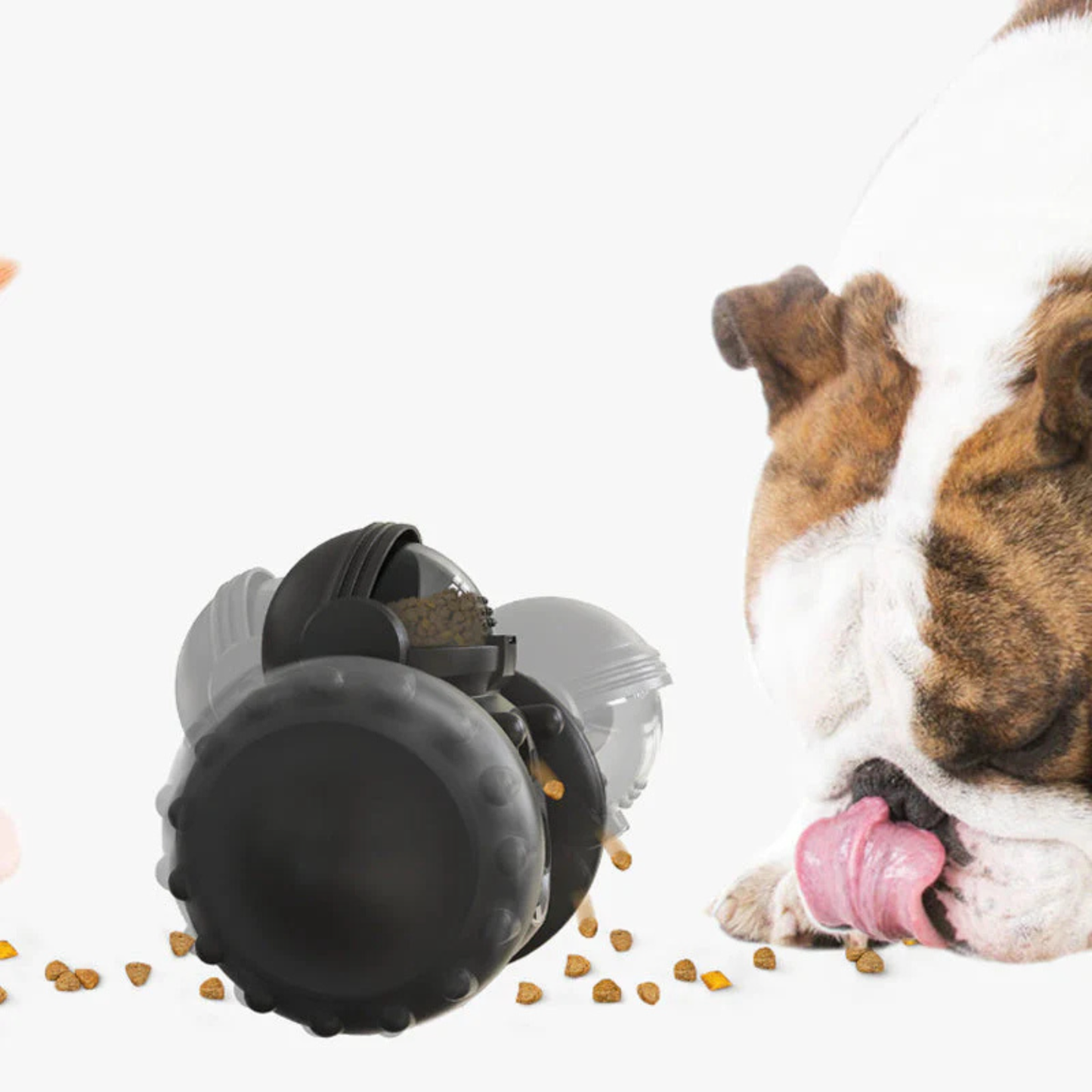 Tumbler™ - For a healthy, happy and mentally stimulated pet