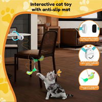 Hangy™ - No more boredom for your cat