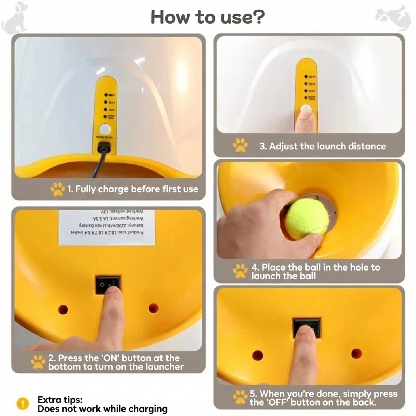 Catchy™ - Let your dog run endlessly while you relax