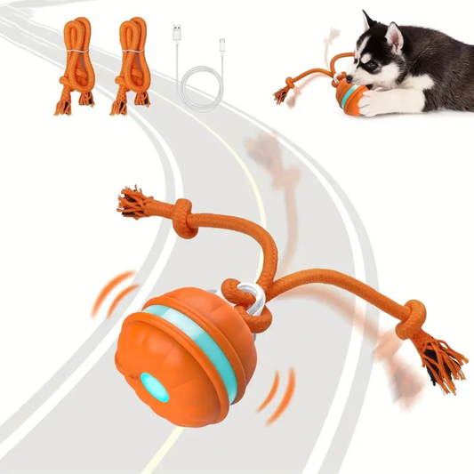 BouncyBounce™ - Give your dog the joy it deserves