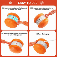 WiggleWag™ – The only ball that keeps your pet busy and happy