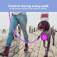 WalkBuddy™ - The ultimate belt for daily walks
