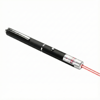 LaserPointer™ - Unlimited fun for you and your pet