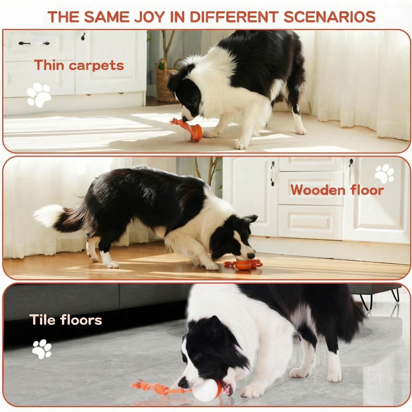 WiggleWag™ – The only ball that keeps your pet busy and happy