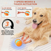 WiggleWag™ – The only ball that keeps your pet busy and happy