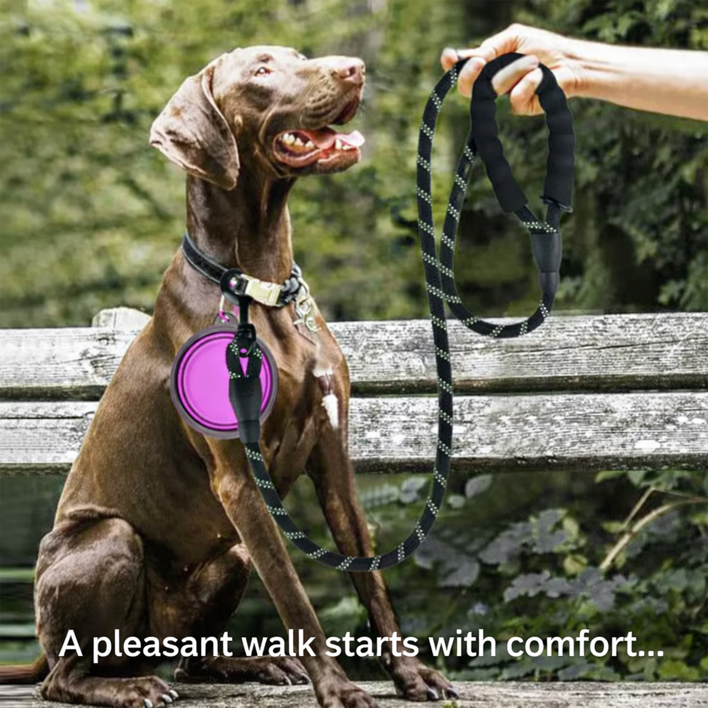 WalkBuddy™ - The ultimate belt for daily walks