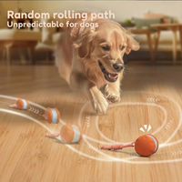 WiggleWag™ – The only ball that keeps your pet busy and happy