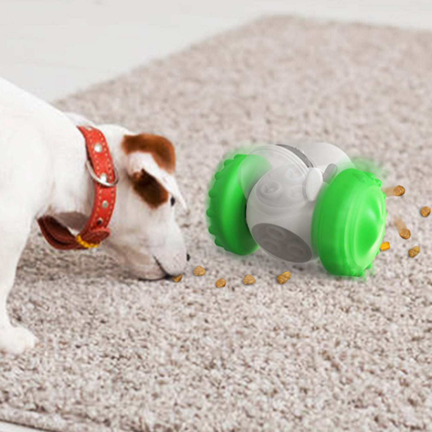 Tumbler™ - For a healthy, happy and mentally stimulated pet