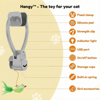 Hangy™ - No more boredom for your cat