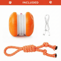 WiggleWag™ – The only ball that keeps your pet busy and happy