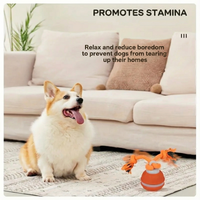 BouncyBounce™ - Give your dog the joy it deserves